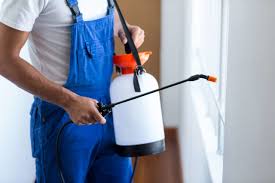 Best Emergency Pest Control  in Wildomar, CA